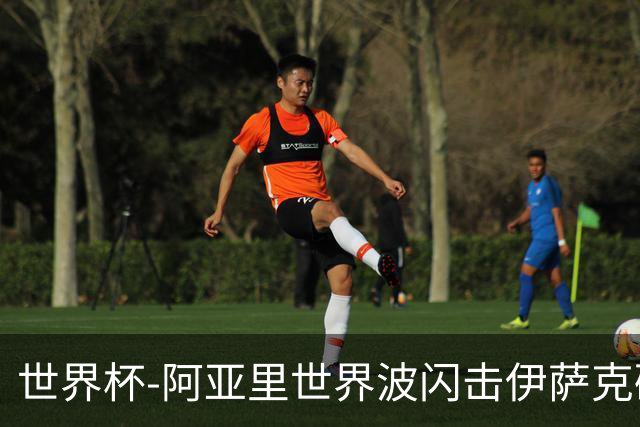 世界杯-阿亚里世界波闪击伊萨克破门 半场瑞典2-1突尼斯